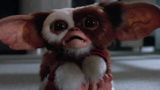 Gremlins, il cult del 1984 che ha rivoluzionato l’horror pop